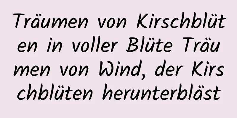 Träumen von Kirschblüten in voller Blüte Träumen von Wind, der Kirschblüten herunterbläst