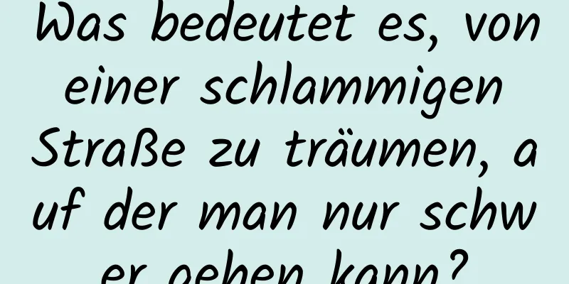 Was bedeutet es, von einer schlammigen Straße zu träumen, auf der man nur schwer gehen kann?