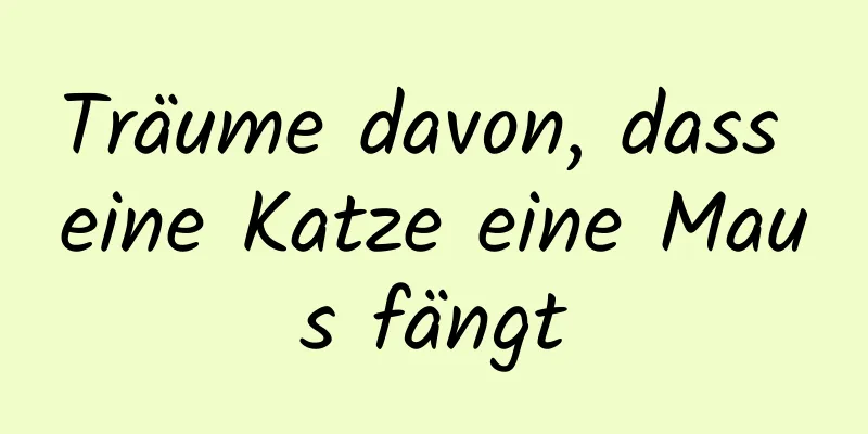 Träume davon, dass eine Katze eine Maus fängt