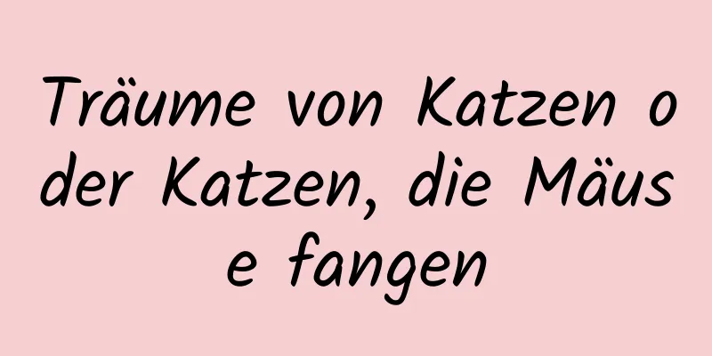 Träume von Katzen oder Katzen, die Mäuse fangen