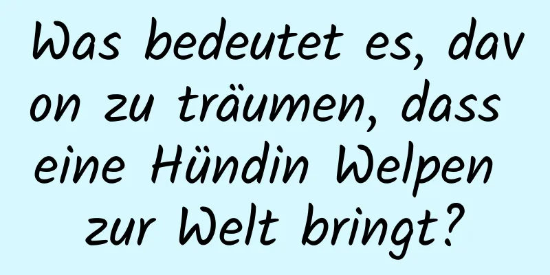 Was bedeutet es, davon zu träumen, dass eine Hündin Welpen zur Welt bringt?