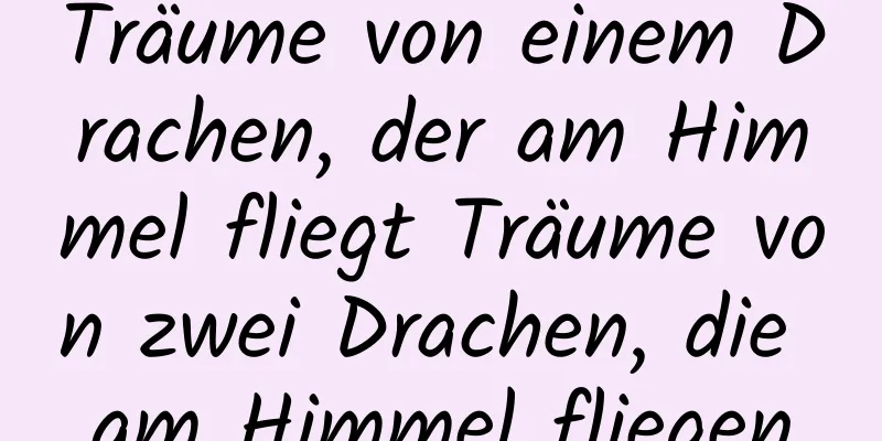 Träume von einem Drachen, der am Himmel fliegt Träume von zwei Drachen, die am Himmel fliegen