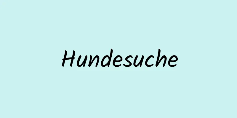 Hundesuche