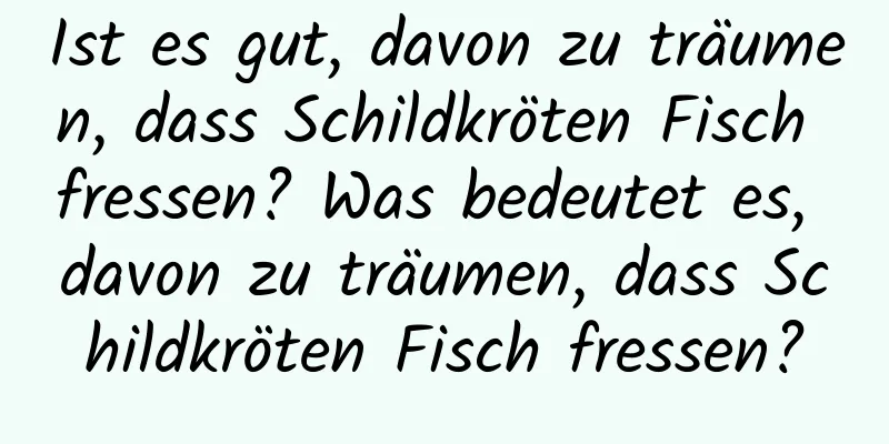 Ist es gut, davon zu träumen, dass Schildkröten Fisch fressen? Was bedeutet es, davon zu träumen, dass Schildkröten Fisch fressen?