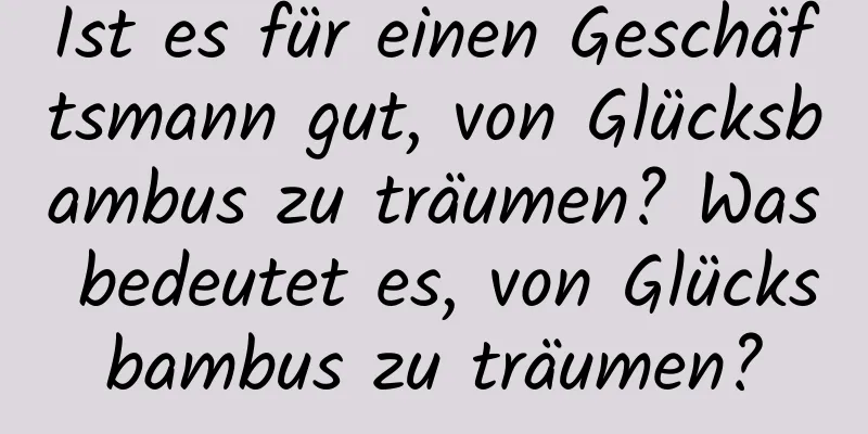 Ist es für einen Geschäftsmann gut, von Glücksbambus zu träumen? Was bedeutet es, von Glücksbambus zu träumen?