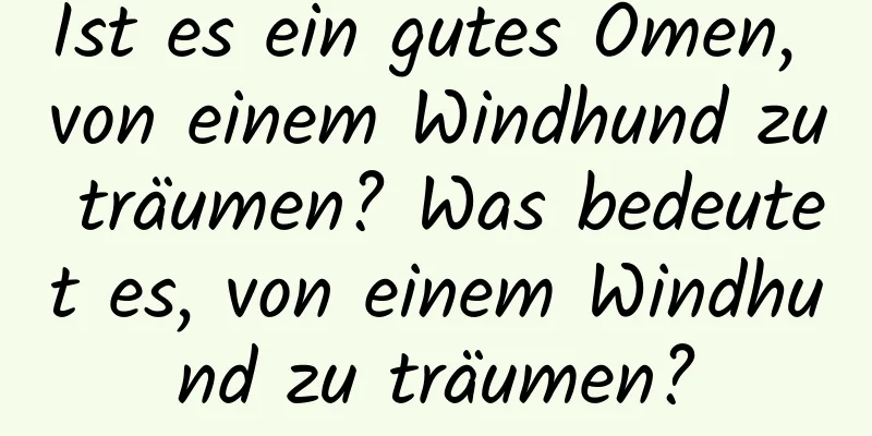 Ist es ein gutes Omen, von einem Windhund zu träumen? Was bedeutet es, von einem Windhund zu träumen?