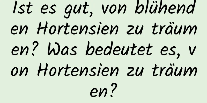 Ist es gut, von blühenden Hortensien zu träumen? Was bedeutet es, von Hortensien zu träumen?