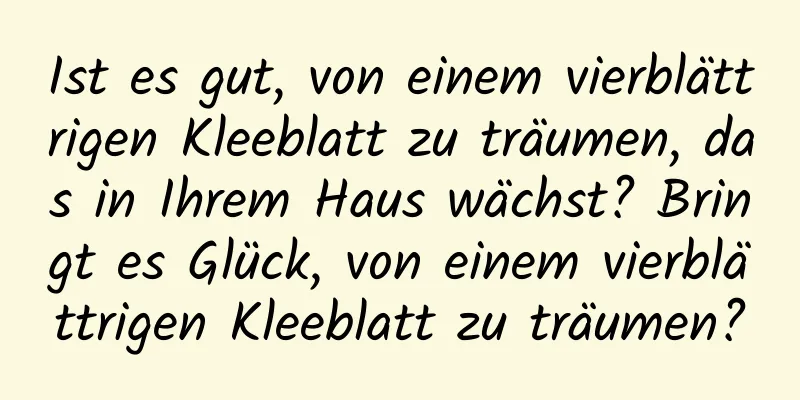 Ist es gut, von einem vierblättrigen Kleeblatt zu träumen, das in Ihrem Haus wächst? Bringt es Glück, von einem vierblättrigen Kleeblatt zu träumen?