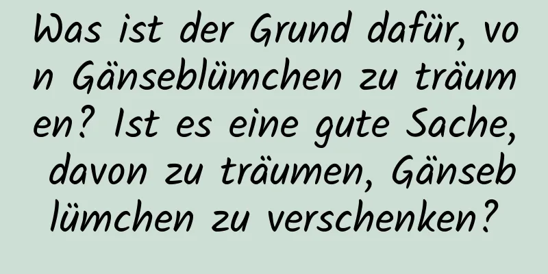 Was ist der Grund dafür, von Gänseblümchen zu träumen? Ist es eine gute Sache, davon zu träumen, Gänseblümchen zu verschenken?