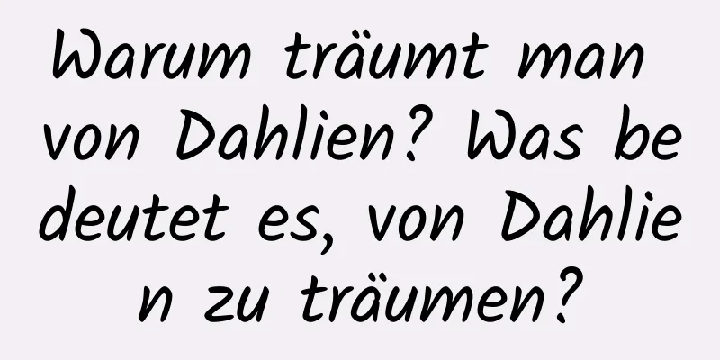 Warum träumt man von Dahlien? Was bedeutet es, von Dahlien zu träumen?