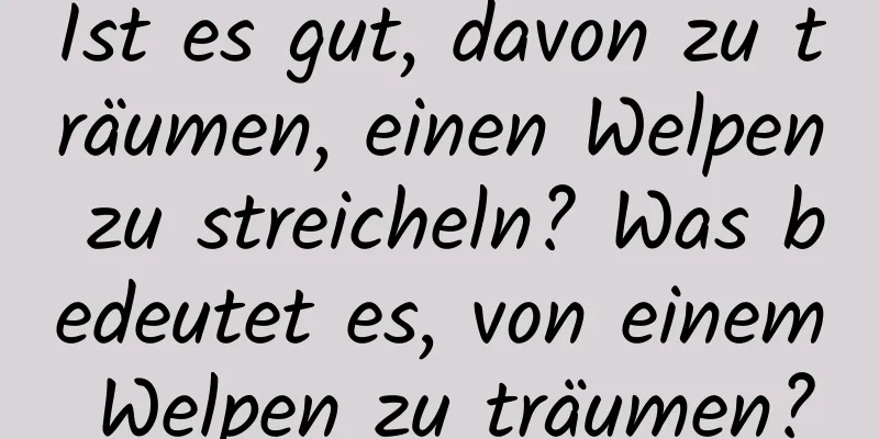 Ist es gut, davon zu träumen, einen Welpen zu streicheln? Was bedeutet es, von einem Welpen zu träumen?