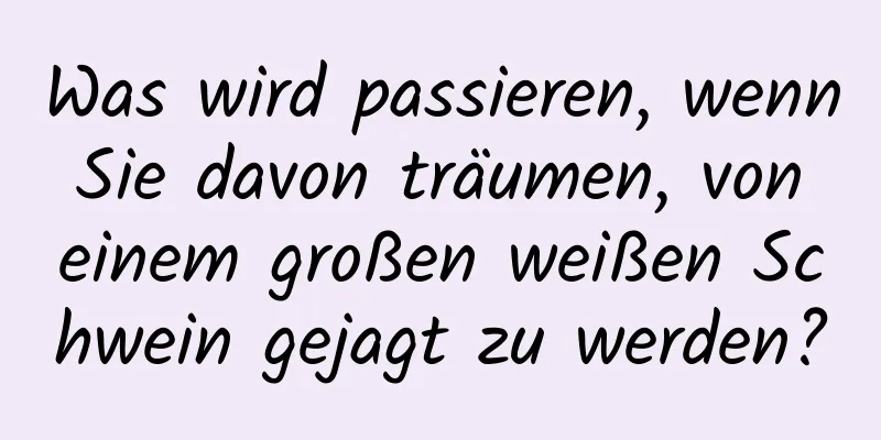 Was wird passieren, wenn Sie davon träumen, von einem großen weißen Schwein gejagt zu werden?