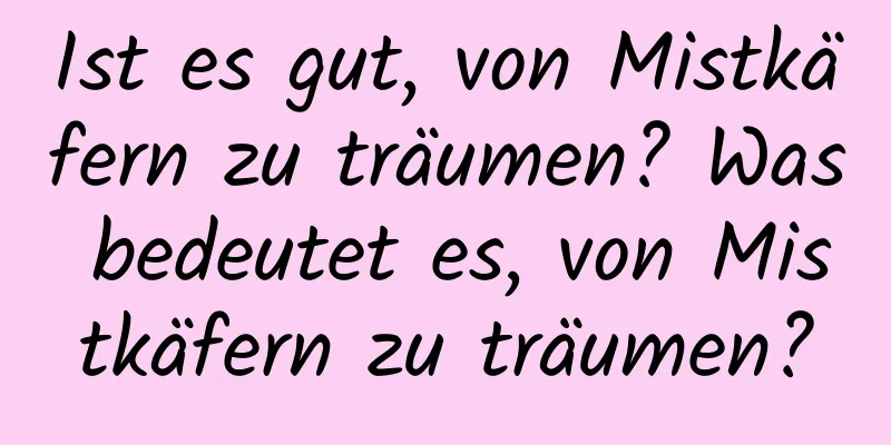 Ist es gut, von Mistkäfern zu träumen? Was bedeutet es, von Mistkäfern zu träumen?