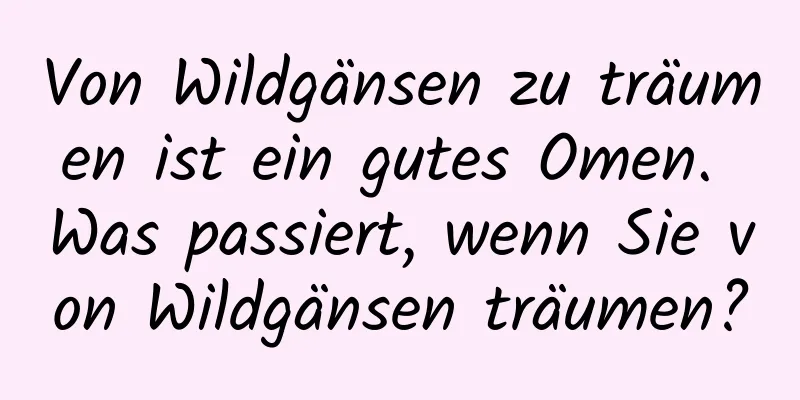 Von Wildgänsen zu träumen ist ein gutes Omen. Was passiert, wenn Sie von Wildgänsen träumen?