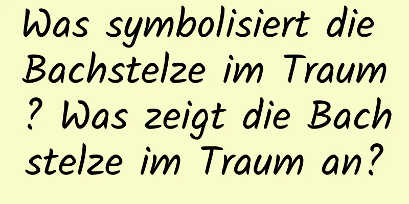 Was symbolisiert die Bachstelze im Traum? Was zeigt die Bachstelze im Traum an?