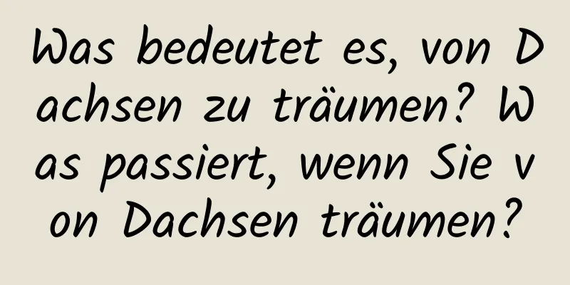 Was bedeutet es, von Dachsen zu träumen? Was passiert, wenn Sie von Dachsen träumen?