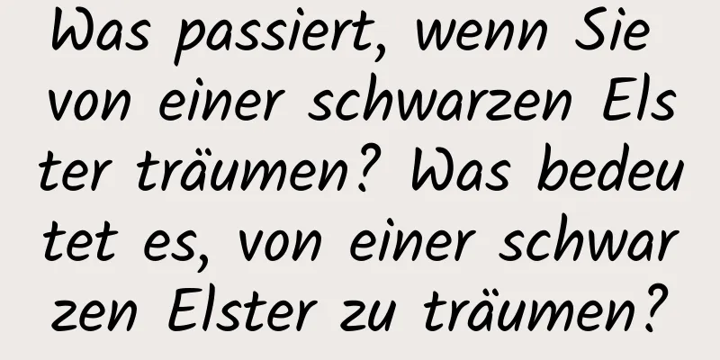 Was passiert, wenn Sie von einer schwarzen Elster träumen? Was bedeutet es, von einer schwarzen Elster zu träumen?