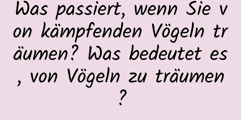 Was passiert, wenn Sie von kämpfenden Vögeln träumen? Was bedeutet es, von Vögeln zu träumen?