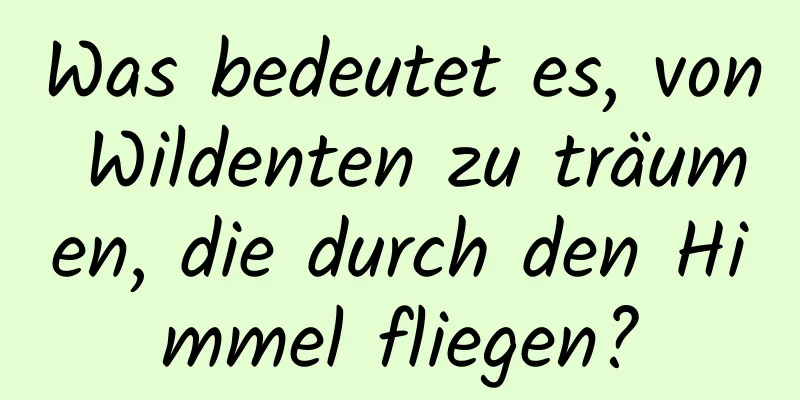 Was bedeutet es, von Wildenten zu träumen, die durch den Himmel fliegen?