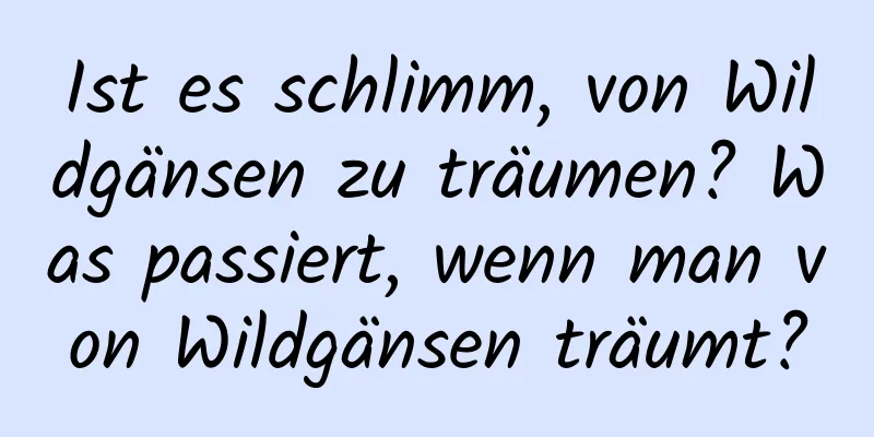 Ist es schlimm, von Wildgänsen zu träumen? Was passiert, wenn man von Wildgänsen träumt?