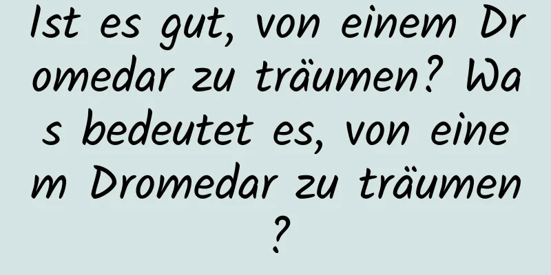 Ist es gut, von einem Dromedar zu träumen? Was bedeutet es, von einem Dromedar zu träumen?