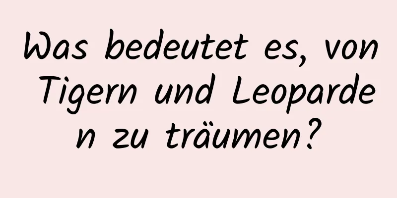 Was bedeutet es, von Tigern und Leoparden zu träumen?