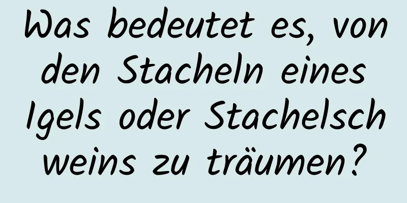 Was bedeutet es, von den Stacheln eines Igels oder Stachelschweins zu träumen?