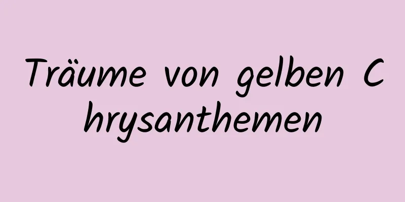 Träume von gelben Chrysanthemen