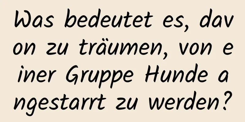 Was bedeutet es, davon zu träumen, von einer Gruppe Hunde angestarrt zu werden?