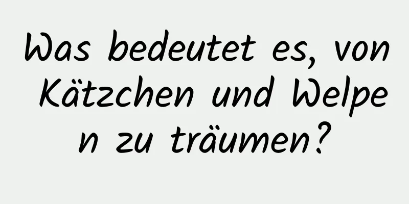 Was bedeutet es, von Kätzchen und Welpen zu träumen?