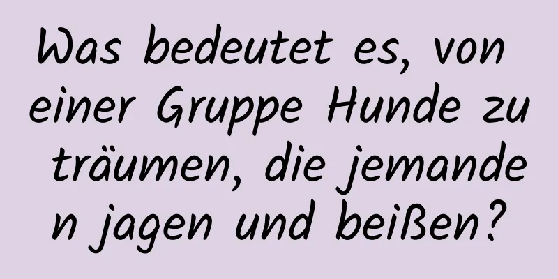 Was bedeutet es, von einer Gruppe Hunde zu träumen, die jemanden jagen und beißen?