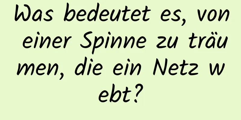 Was bedeutet es, von einer Spinne zu träumen, die ein Netz webt?