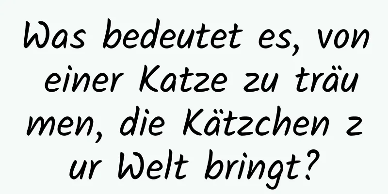 Was bedeutet es, von einer Katze zu träumen, die Kätzchen zur Welt bringt?