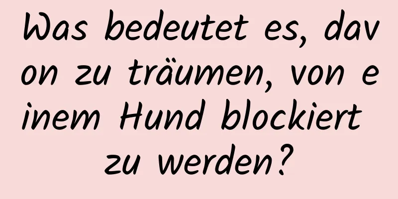 Was bedeutet es, davon zu träumen, von einem Hund blockiert zu werden?