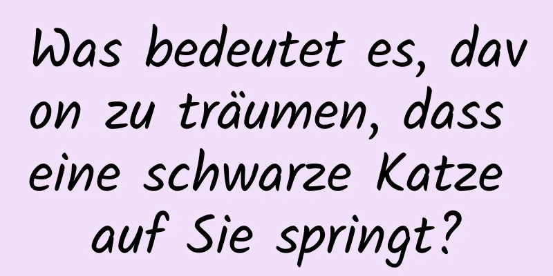 Was bedeutet es, davon zu träumen, dass eine schwarze Katze auf Sie springt?