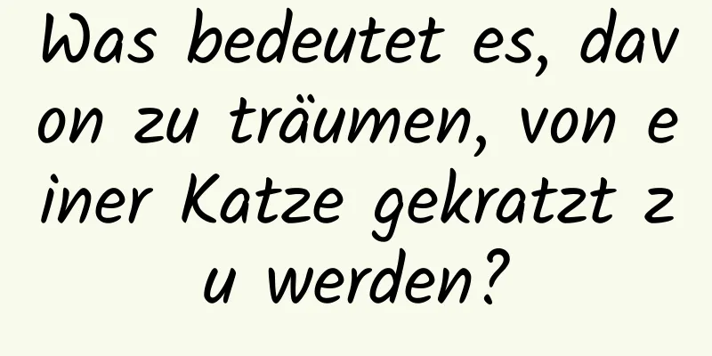 Was bedeutet es, davon zu träumen, von einer Katze gekratzt zu werden?