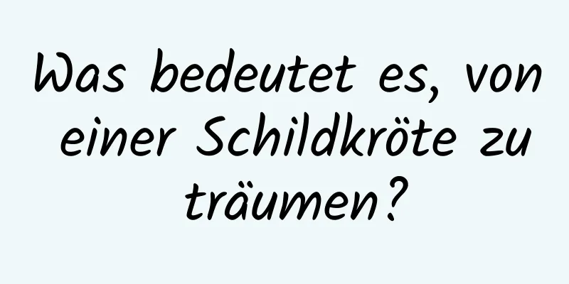 Was bedeutet es, von einer Schildkröte zu träumen?