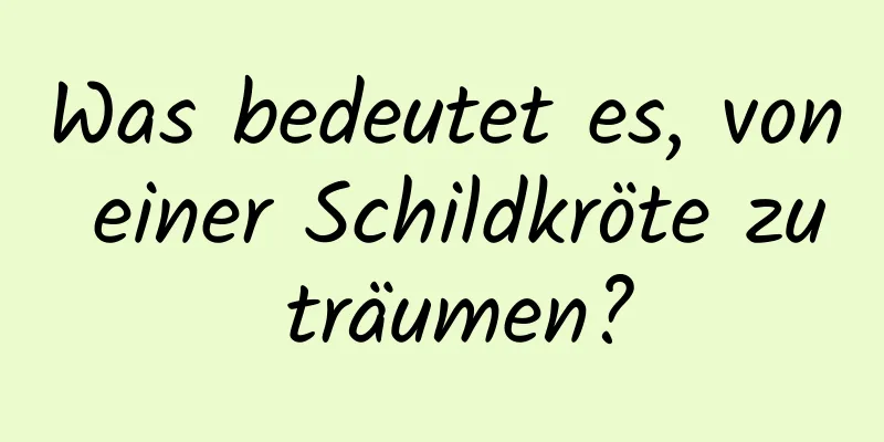 Was bedeutet es, von einer Schildkröte zu träumen?