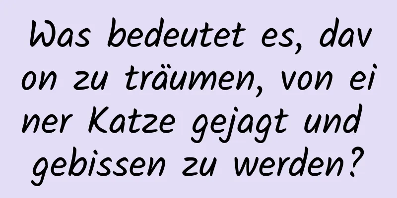 Was bedeutet es, davon zu träumen, von einer Katze gejagt und gebissen zu werden?