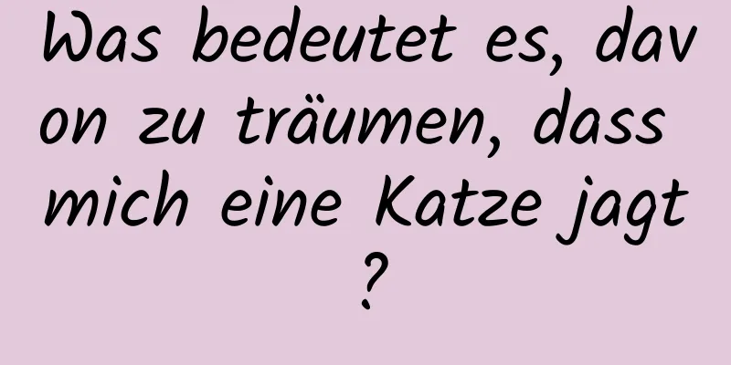 Was bedeutet es, davon zu träumen, dass mich eine Katze jagt?