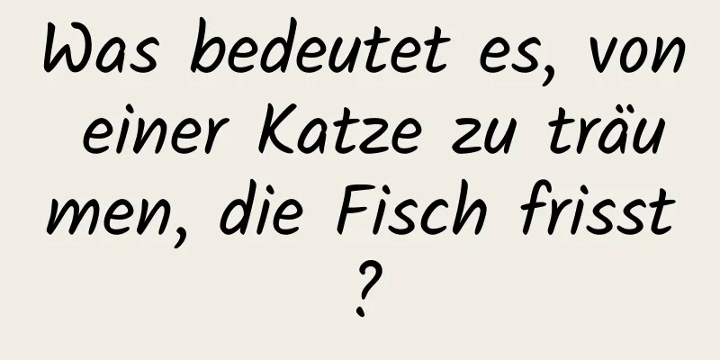 Was bedeutet es, von einer Katze zu träumen, die Fisch frisst?