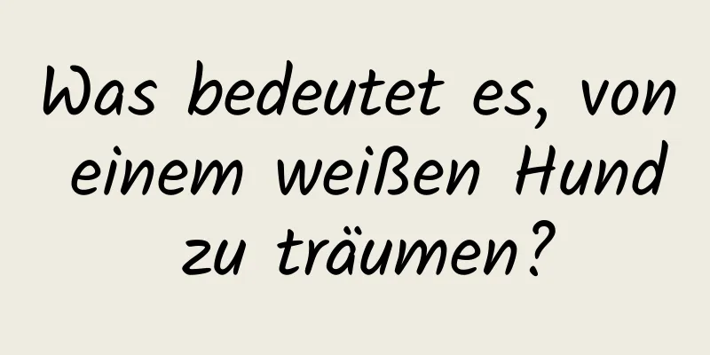 Was bedeutet es, von einem weißen Hund zu träumen?