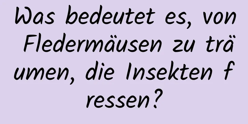 Was bedeutet es, von Fledermäusen zu träumen, die Insekten fressen?