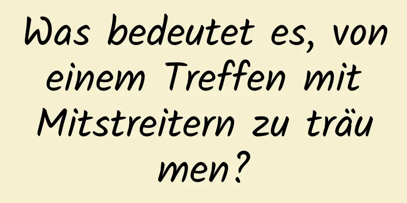 Was bedeutet es, von einem Treffen mit Mitstreitern zu träumen?