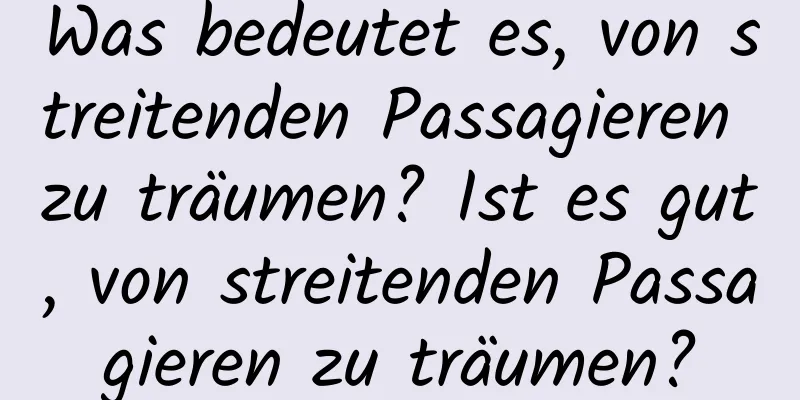 Was bedeutet es, von streitenden Passagieren zu träumen? Ist es gut, von streitenden Passagieren zu träumen?