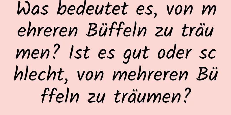 Was bedeutet es, von mehreren Büffeln zu träumen? Ist es gut oder schlecht, von mehreren Büffeln zu träumen?