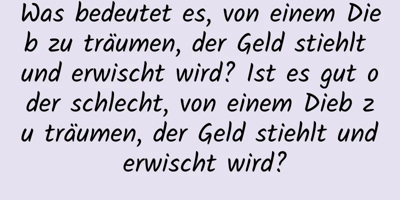 Was bedeutet es, von einem Dieb zu träumen, der Geld stiehlt und erwischt wird? Ist es gut oder schlecht, von einem Dieb zu träumen, der Geld stiehlt und erwischt wird?