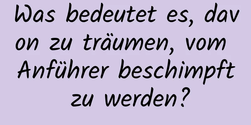 Was bedeutet es, davon zu träumen, vom Anführer beschimpft zu werden?