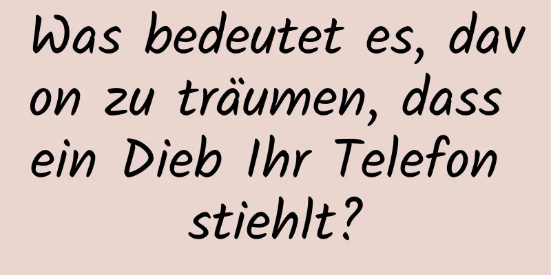 Was bedeutet es, davon zu träumen, dass ein Dieb Ihr Telefon stiehlt?