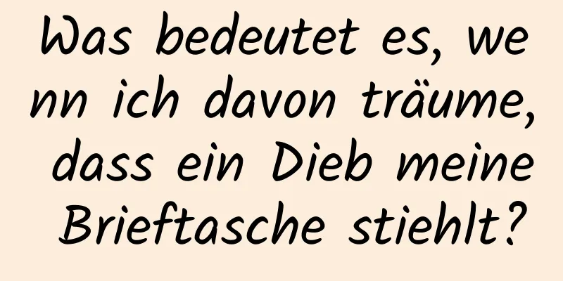 Was bedeutet es, wenn ich davon träume, dass ein Dieb meine Brieftasche stiehlt?